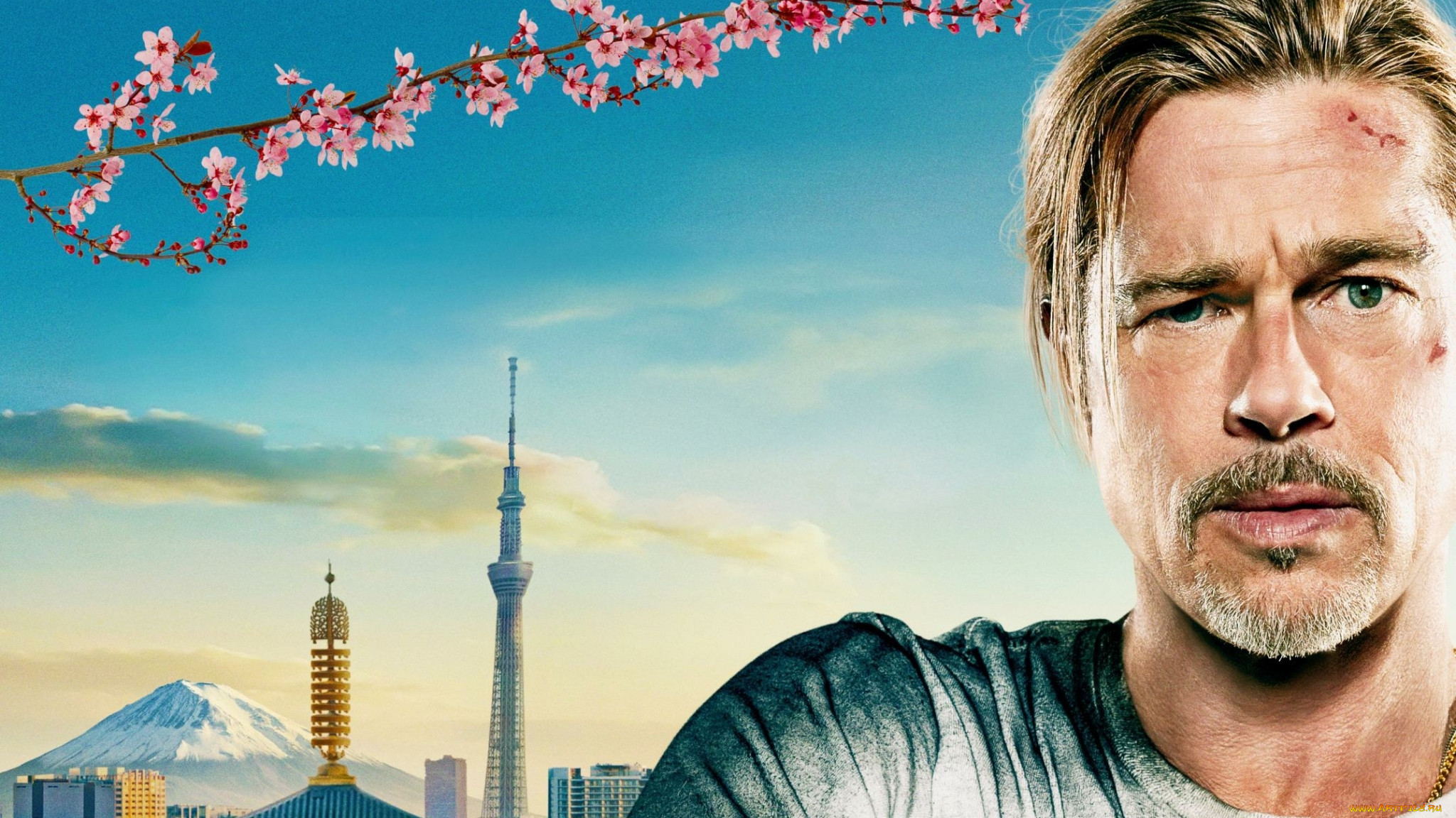 bullet train || 2022,  , bullet train, , , , , , , , , brad, pitt, ladybug